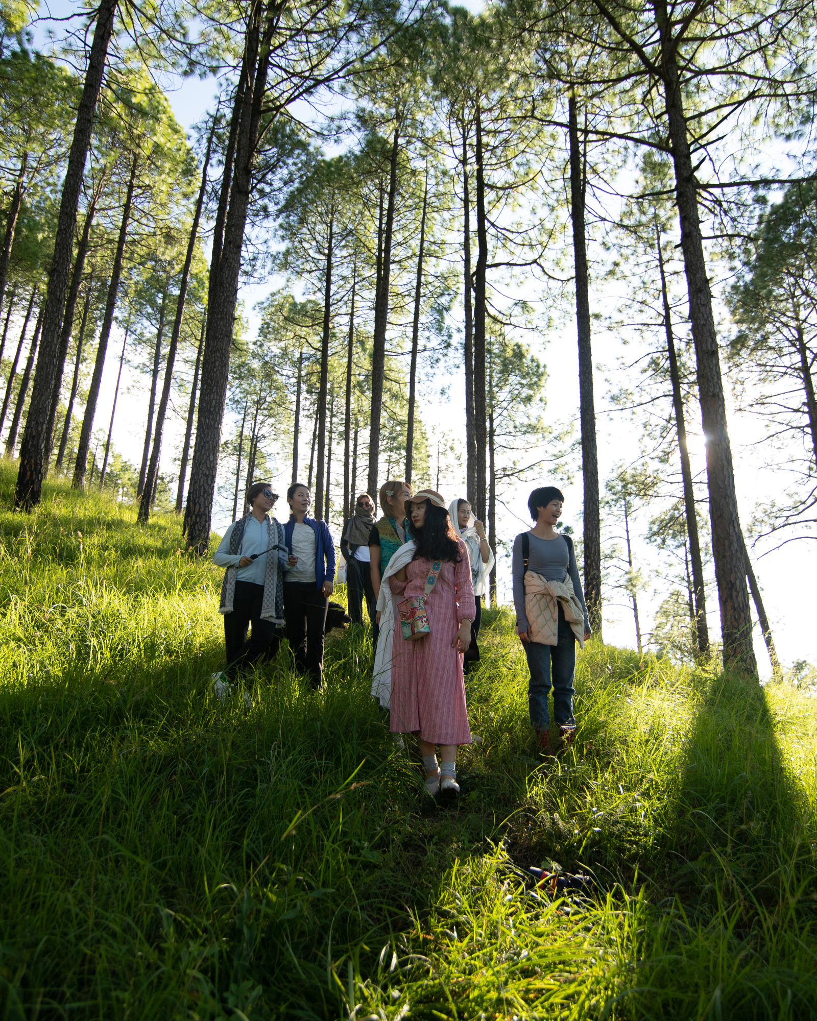 10-days-yoga-retreat-in-rishikesh-india